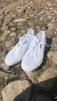 Sneaker FILA Gr. 42 (ungetragen, weiß) Niedersachsen - Uelzen Vorschau