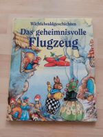 Das geheimnisvolle Flugzeug ,Wichtelwaldgeschichten,  Kinderbuch Niedersachsen - Laatzen Vorschau