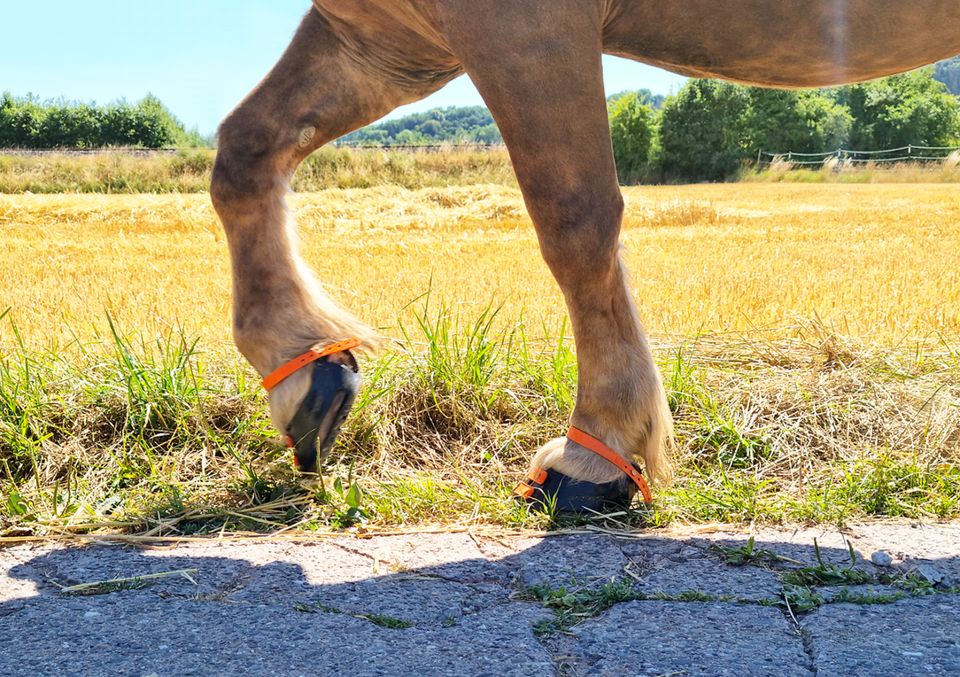 Scoot Boots, Scootboots in Burgkunstadt