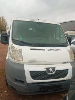 Pegueot Boxer Fiat Ducato 250  3,0 Diesel SCHLACHTFEST Niedersachsen - Seevetal Vorschau