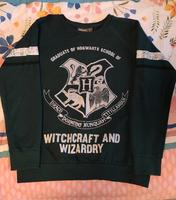 Damen Pullover Größe 40  Harry Potter Schleswig-Holstein - Lübeck Vorschau