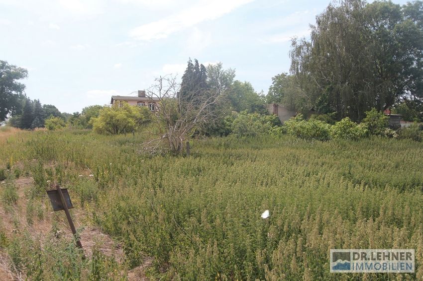 Dreifamilienhaus in Wusterhausen/Dosse OT Metzelthin- teilweise vermietet in Neustadt (Dosse)