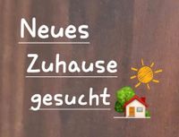 Paar sucht dringend 3-4 Zimmer Wohnung Schleswig-Holstein - Krumstedt Vorschau