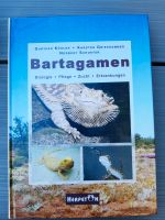 Bartagamen, Herpeton-Verlag Rheinland-Pfalz - Dorsheim Vorschau