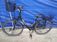 Pegasus Damenrad 28 Zoll RH 52 CM + 2 x Körbchen Berlin - Reinickendorf Vorschau