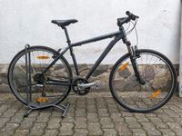 Specialized Trekkingrad Rahmengröße 52 Rheinland-Pfalz - Leutesdorf Vorschau