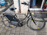 Hollandrad 28 Zoll, Mc Kenzie, Damenrad, Citybike Bielefeld - Heepen Vorschau