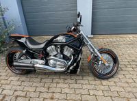 Harley Davidson V Rod Lacksatz komplett Rheinland-Pfalz - Mackenbach Vorschau