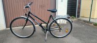 Fahrrad Damenrad Hercules Sumatra Trapez RH 51 Trekking Bayern - Lauingen a.d. Donau Vorschau