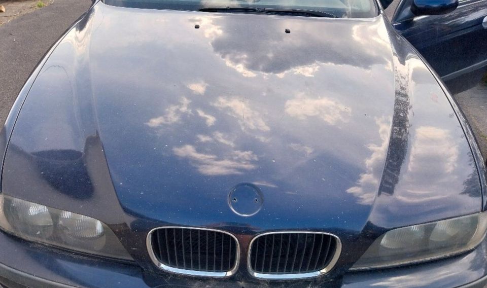 BMW E39 Motorhaube Frontklappe orientblau metallic in Bergisch Gladbach