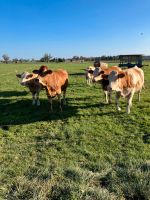 Bio sucht Wiesen und Äcker Bayern - Mertingen Vorschau