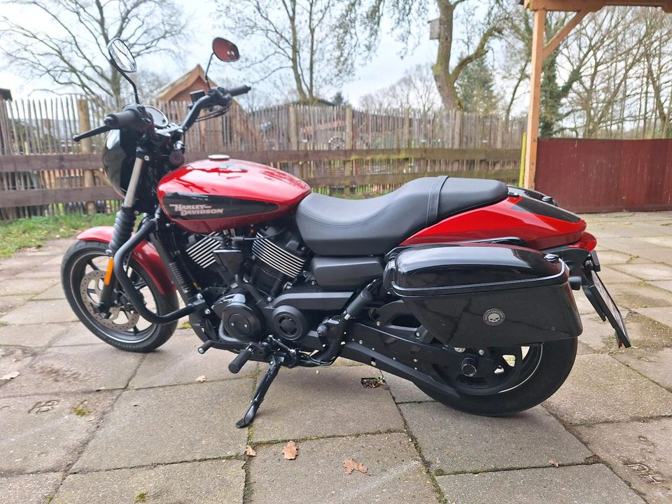 Harley Davidson Street 750 in Kaltenkirchen