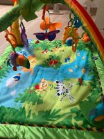 Rainforest Fisher Price Nordrhein-Westfalen - Herscheid Vorschau