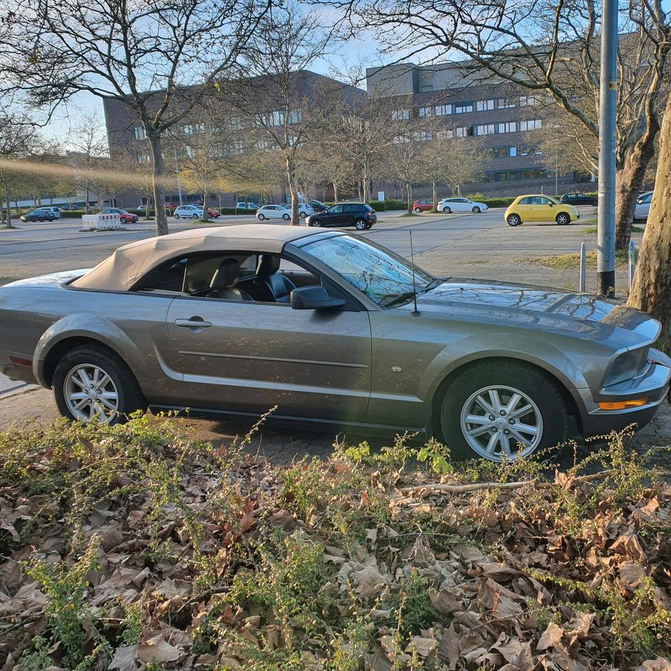 Mustang, Cabrio, Autom. TÜV 4, 2027, US Klassiker, unverb. in Dortmund