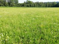 BIO Heuballen Kleintierheu Kaninchen Bayern - Waldkraiburg Vorschau