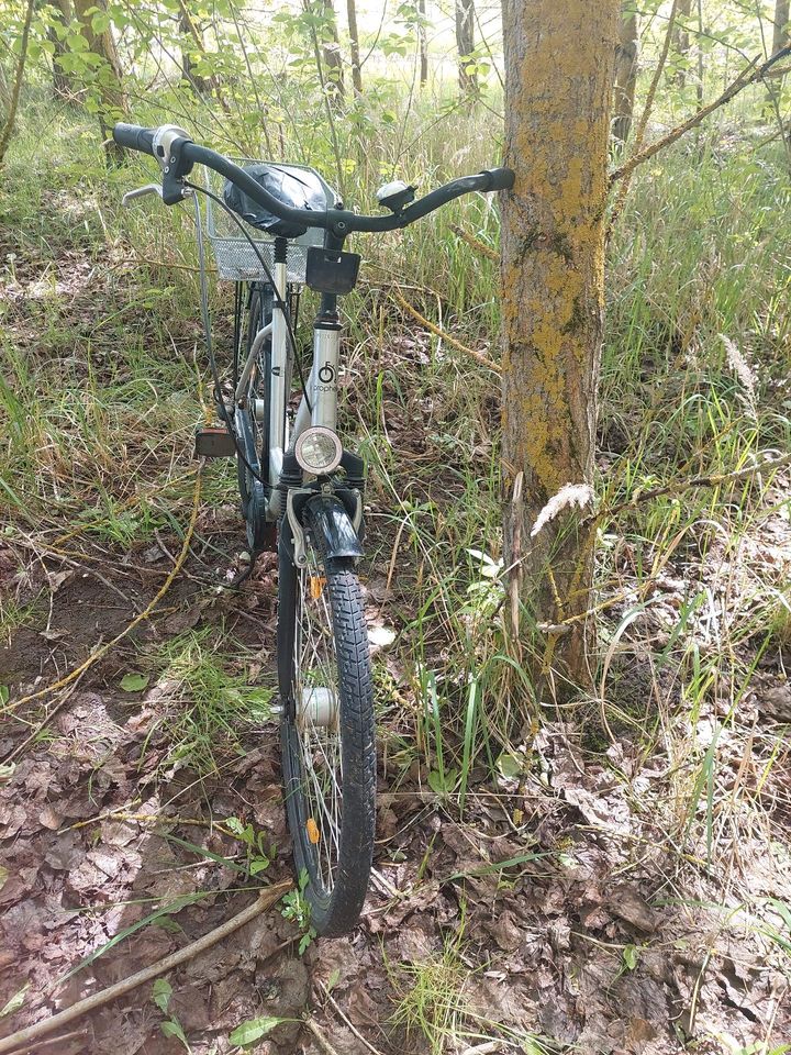 Fahrrad prophete in Schwebheim