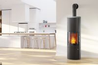 Kaminofen Leo Königshütte 5 kW Naturstein -SOFORT VERFÜGBAR Nordrhein-Westfalen - Ahlen Vorschau