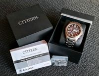 Citizen Promaster Eco-Drive Titanium Funk Solar Baden-Württemberg - Wangen im Allgäu Vorschau