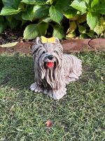 Kostenloser Versand Hund York Terrier Steinfigur Dekoration Schleswig-Holstein - Erfde Vorschau
