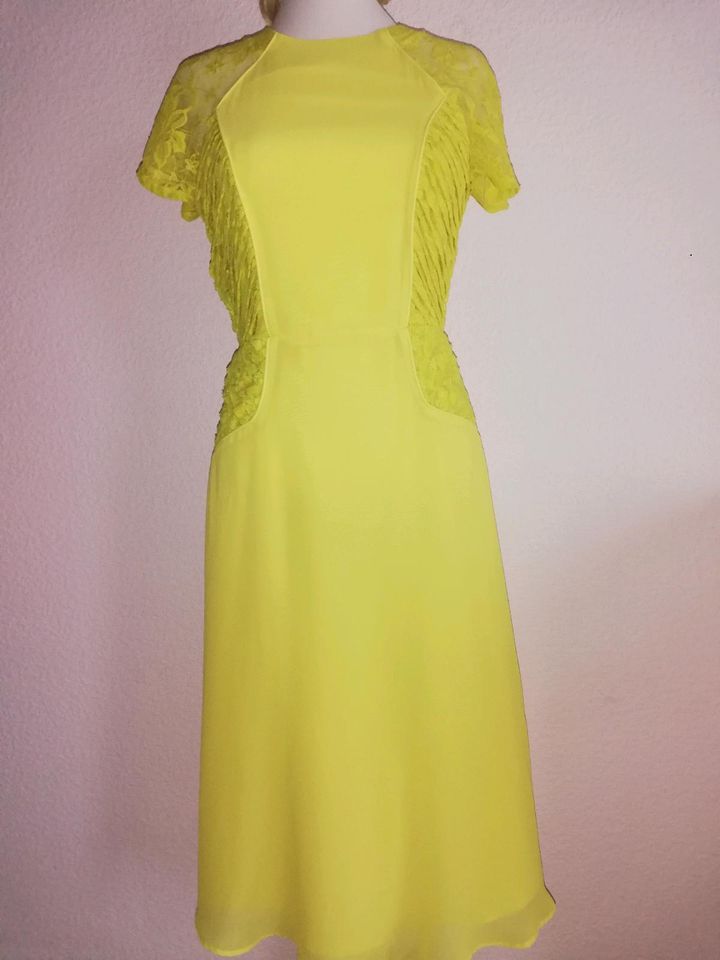 #ASOS #Kleid #Chiffon/Spitze #Sonnengelb #Gr36 in Radevormwald