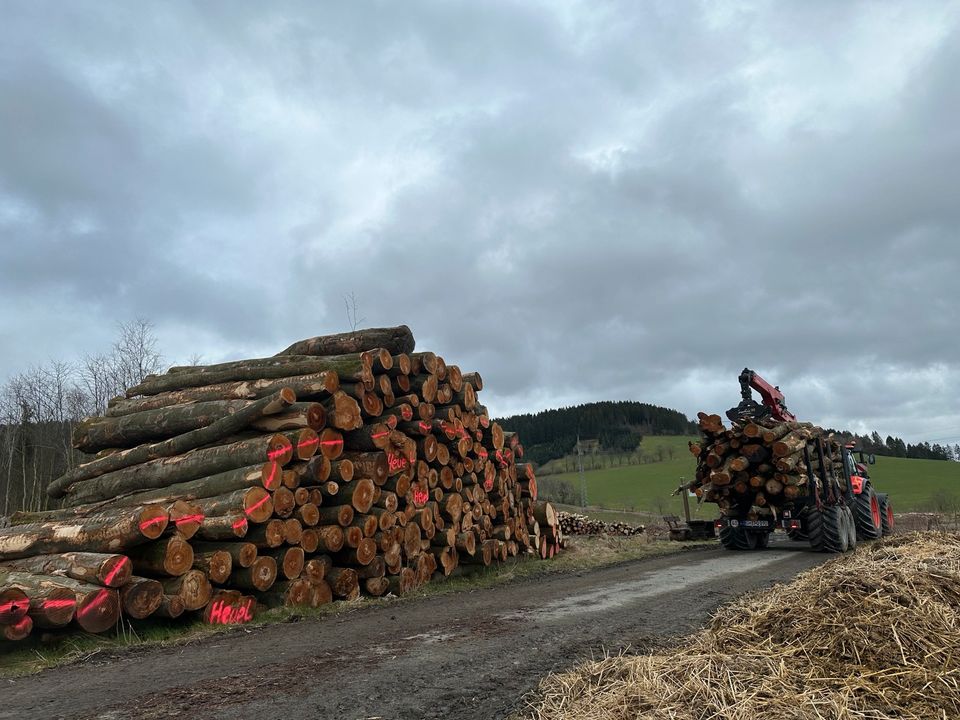 Laubholz, Stammholz, Brennholz, Kaminholz, Holz in Attendorn