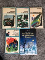 Enid Blyton Sammlung Dolly Tina und Tini Hanni und Nanni Rätsel Rheinland-Pfalz - Wittlich Vorschau