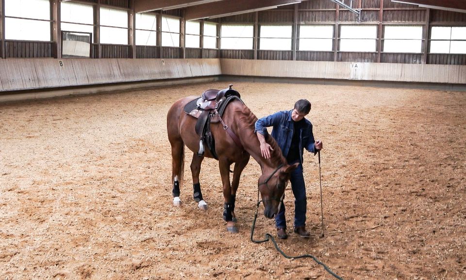 HORSEMANSHIP | TRAINING | COACHING in Nördlingen