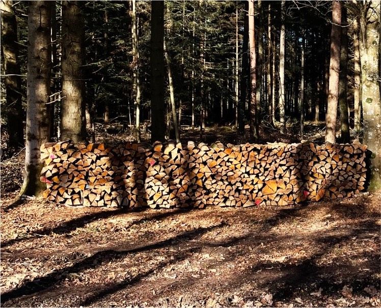 Brennholz Hartholz Meterstücke frisch gespalten Nass in Schwendi