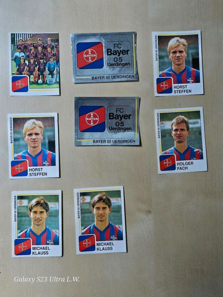 Panini Fußball 1991/1993 Sticker in Sundern (Sauerland)