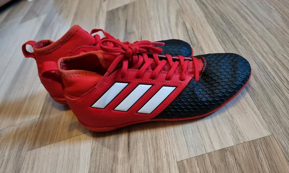 Adidas Sportschuhe Kinder (Größe 32) in Geithain