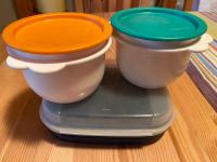 Tupperware Naschkätzchen und Schüsseln 700 ml Brandenburg - Templin Vorschau