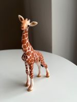 Schleich Giraffenbaby Giraffe Wild Life Wildtiere Zoo Brandenburg - Potsdam Vorschau