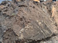 Mutterboden und Sand zu verschenken Nordrhein-Westfalen - Dormagen Vorschau