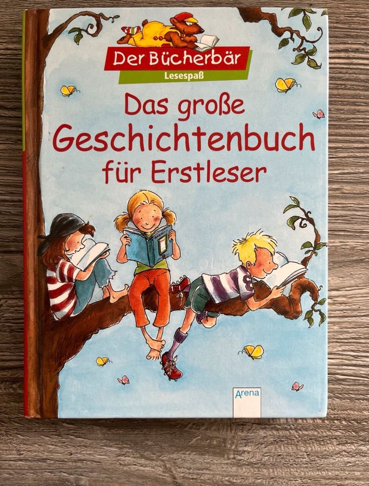 Das große Geschichtenbuch für Erstleser ISBN 9783401093963 in Hagen