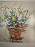 Zitronenbaum- Aquarell von Sibylle Buderath , 37/80  signiert Baden-Württemberg - Konstanz Vorschau