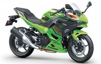 Kawasaki Ninja 500 SE Nordrhein-Westfalen - Lennestadt Vorschau