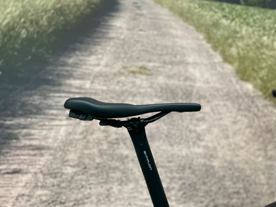 E-Bike | SIMPLON Silkcarbon TQ | Carbonrahmen | nur ca. 19Kg in Bad Salzuflen