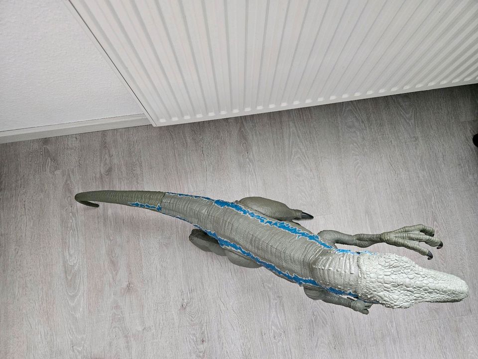 ☆ neuwertiger Jurassic World Veloceraptor Blue 1m lang ☆ in Harsewinkel - Marienfeld