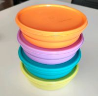 Tupperware Dosen 4er Set Niedersachsen - Lingen (Ems) Vorschau