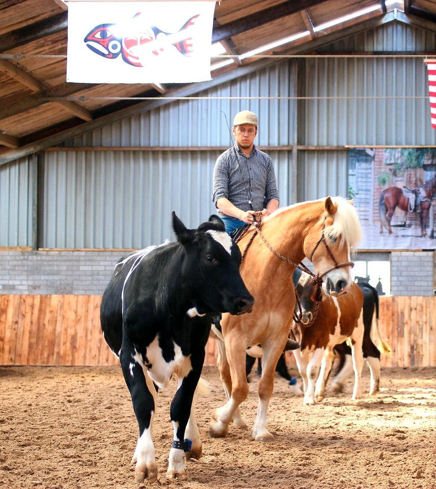 Mobiler Reitunterricht I Beritt | Seminare I Horsemanship in Wildeshausen