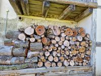 Gegen Angebot Holz Birnbaum abzugeben, Menge siehe Bilder Baden-Württemberg - Reutlingen Vorschau