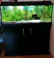 200l Aquarium mit Besatz und Unterschrank, Technik Nordrhein-Westfalen - Westerkappeln Vorschau