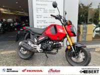 Honda MSX125 Grom / Sonderpreis / Finanzierung Bayern - Höchberg Vorschau