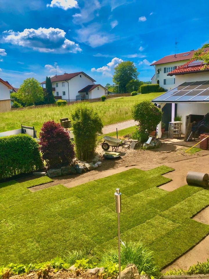 Gartenbau,Pflastern,Gartengestaltung,Bagger,Hecke,Terrasse,Garten in München