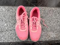 Rosafarbene Turnschuhe von Nike - Größe 38,5 Sachsen-Anhalt - Halberstadt Vorschau