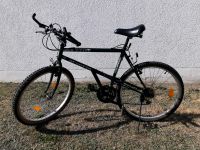 Mountainbike Beneto 26 Zoll Hessen - Selters Vorschau