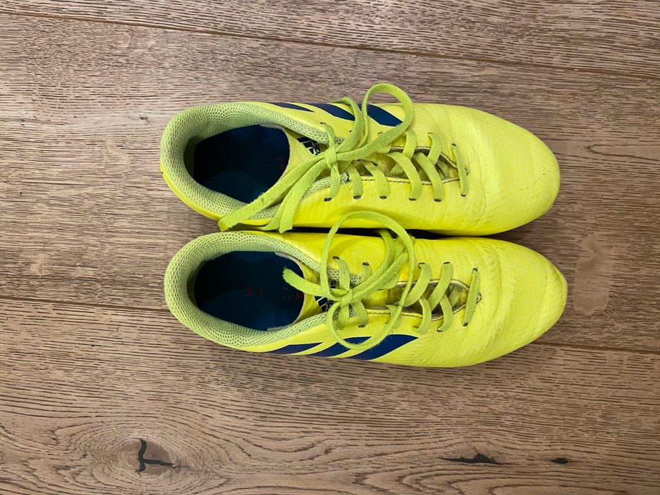 Fußballschuhe Adidas neon gelb 36 Fußball Schuhe in Wuppertal