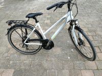 Fahrrad Winora Bermuda Bayern - Dillingen (Donau) Vorschau