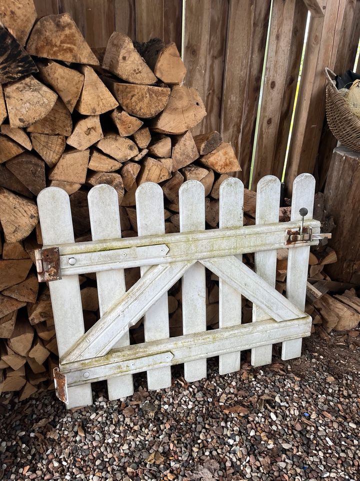Zaun Elemente Holz Gartentor Komplettpaket in Kellenhusen