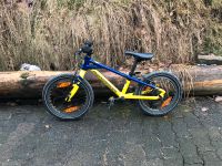 Schönes Kinderfahrrad Mondraker 16 Zoll Rheinland-Pfalz - Unnau Vorschau